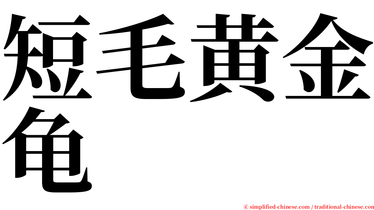 短毛黄金龟 serif font
