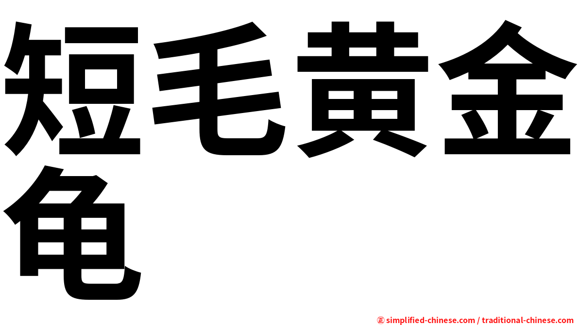 短毛黄金龟