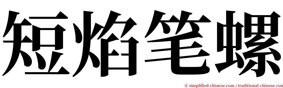 短焰笔螺 serif font