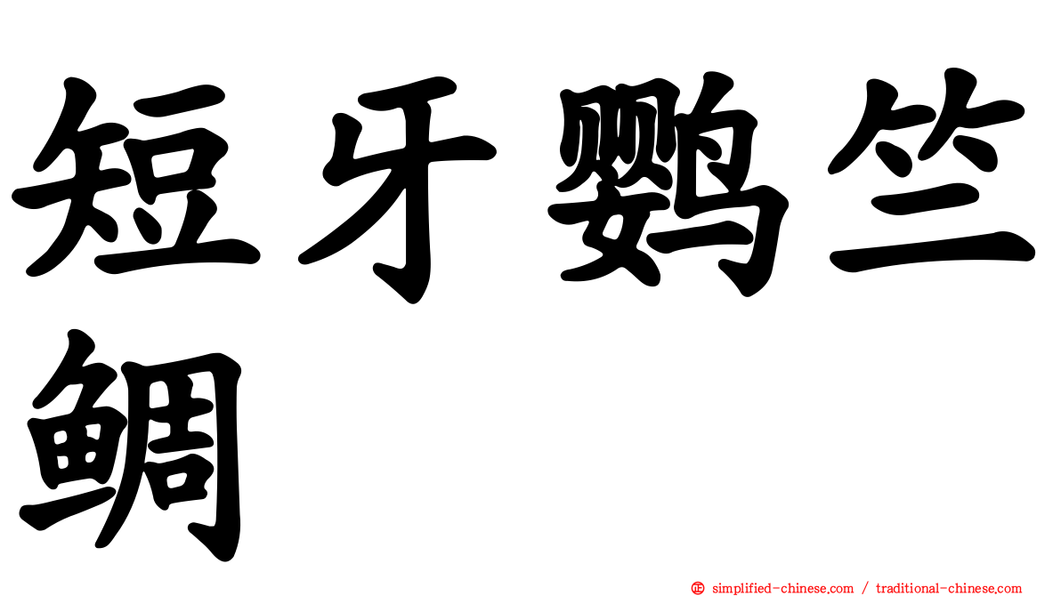 短牙鹦竺鲷