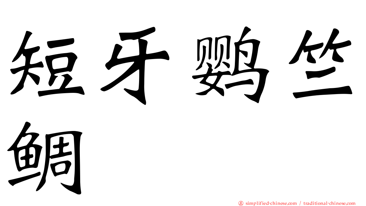 短牙鹦竺鲷