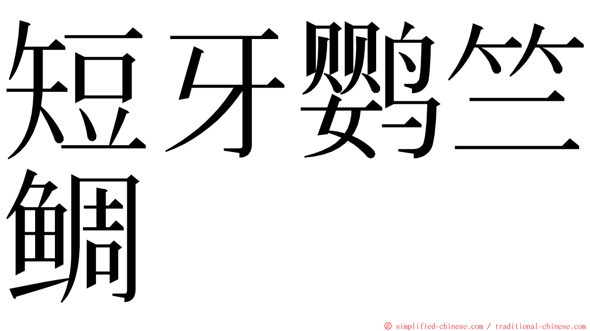 短牙鹦竺鲷 ming font