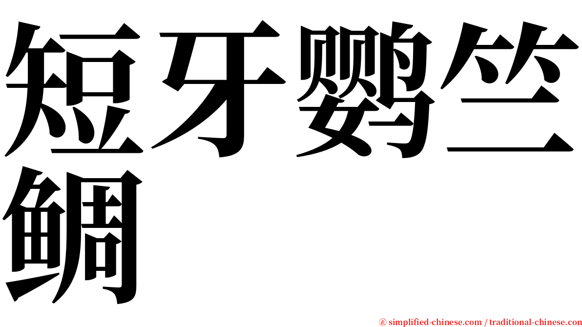 短牙鹦竺鲷 serif font