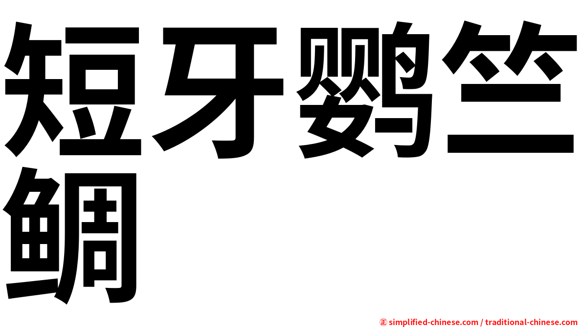 短牙鹦竺鲷