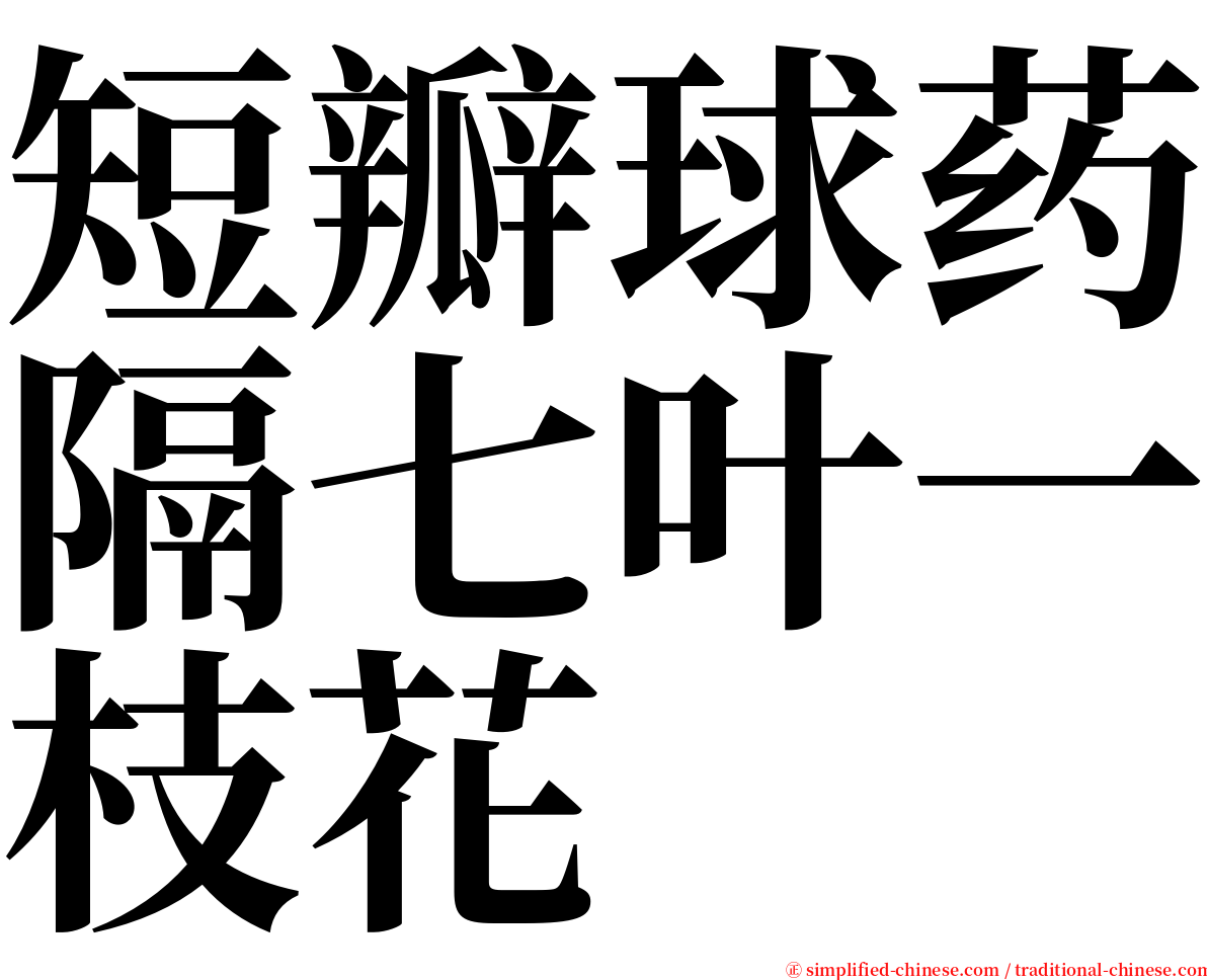 短瓣球药隔七叶一枝花 serif font