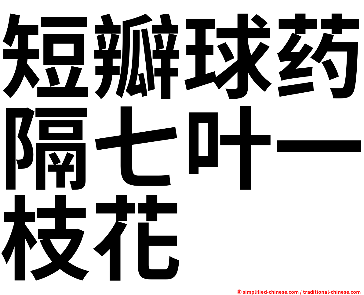 短瓣球药隔七叶一枝花