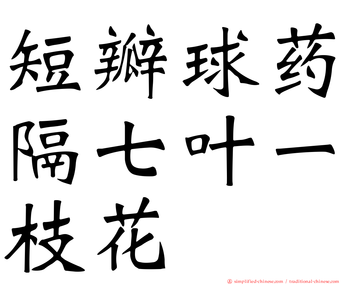 短瓣球药隔七叶一枝花