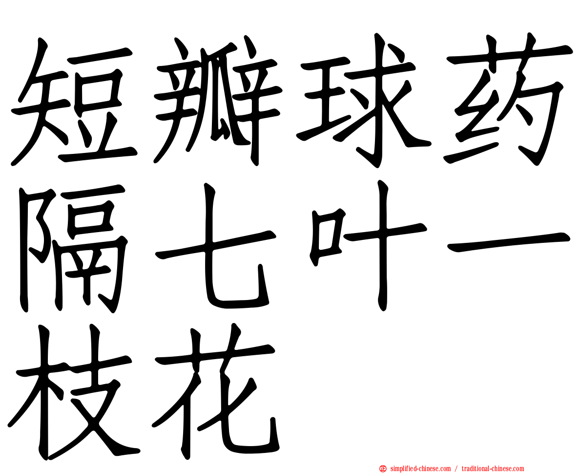 短瓣球药隔七叶一枝花