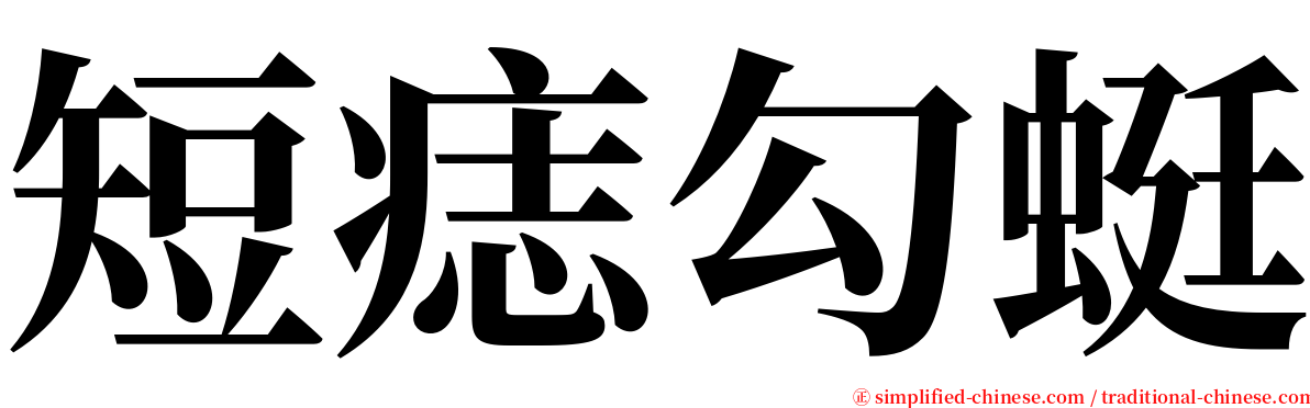 短痣勾蜓 serif font