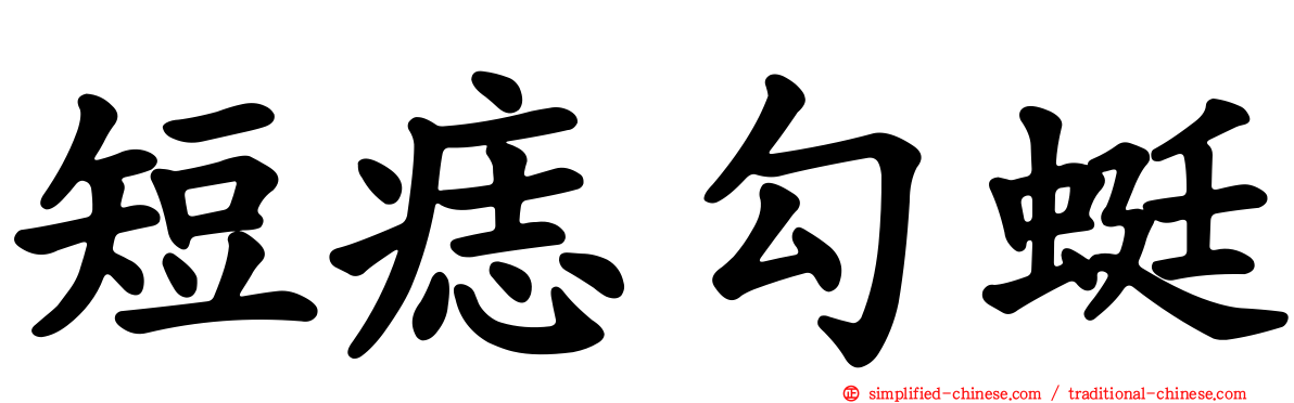 短痣勾蜓
