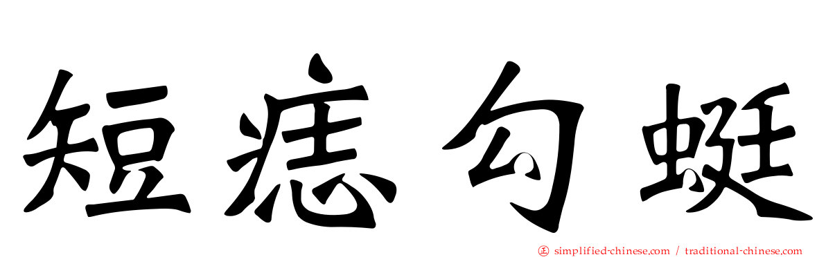 短痣勾蜓
