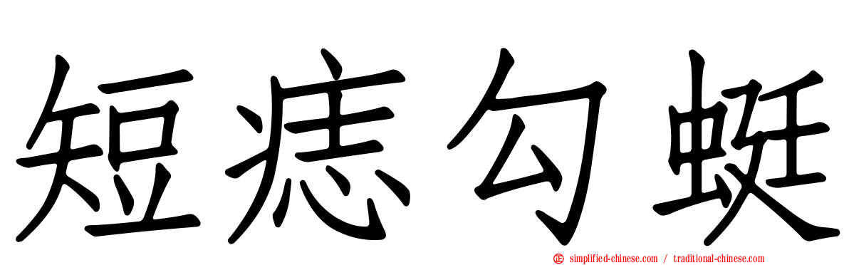 短痣勾蜓