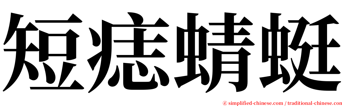 短痣蜻蜓 serif font