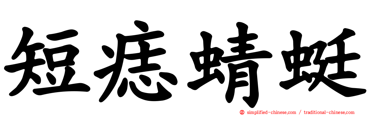 短痣蜻蜓