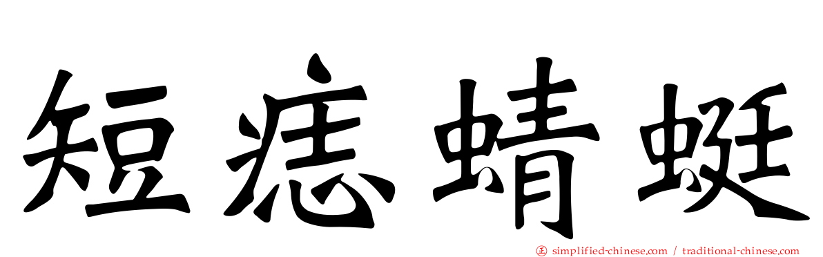 短痣蜻蜓