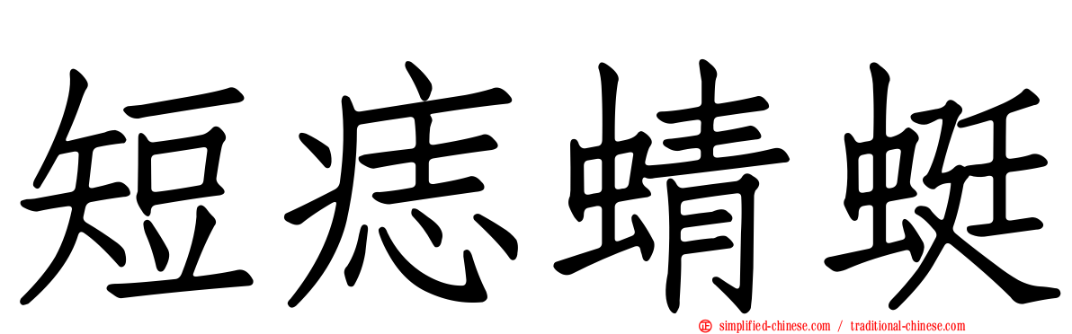 短痣蜻蜓