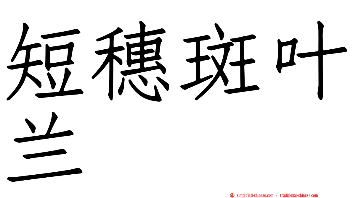 短穗斑叶兰