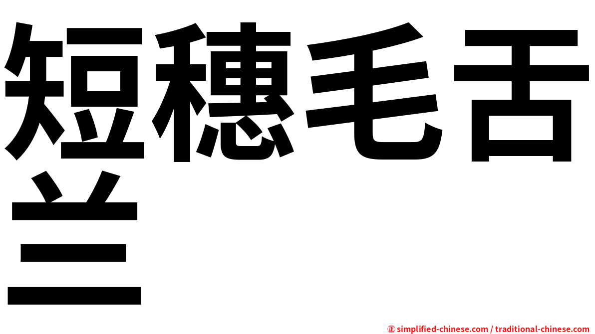 短穗毛舌兰