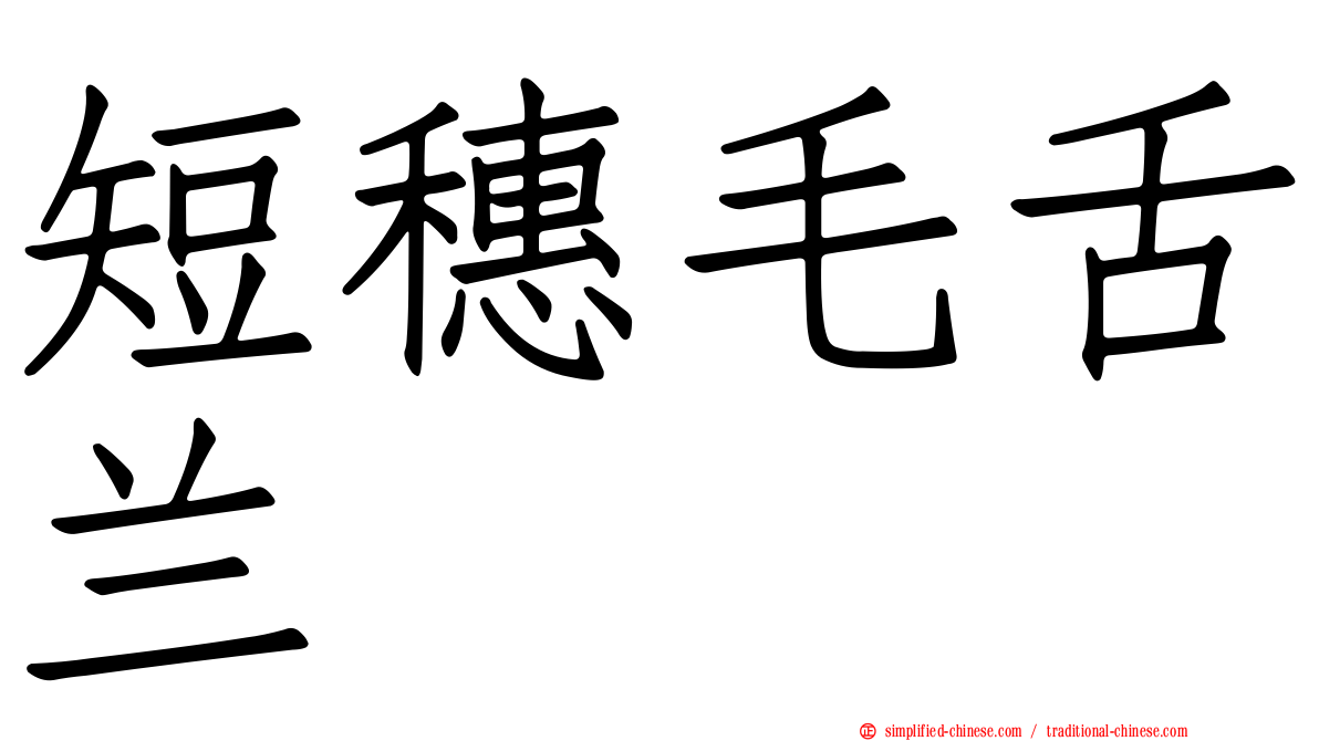 短穗毛舌兰