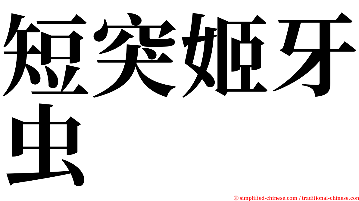 短突姬牙虫 serif font