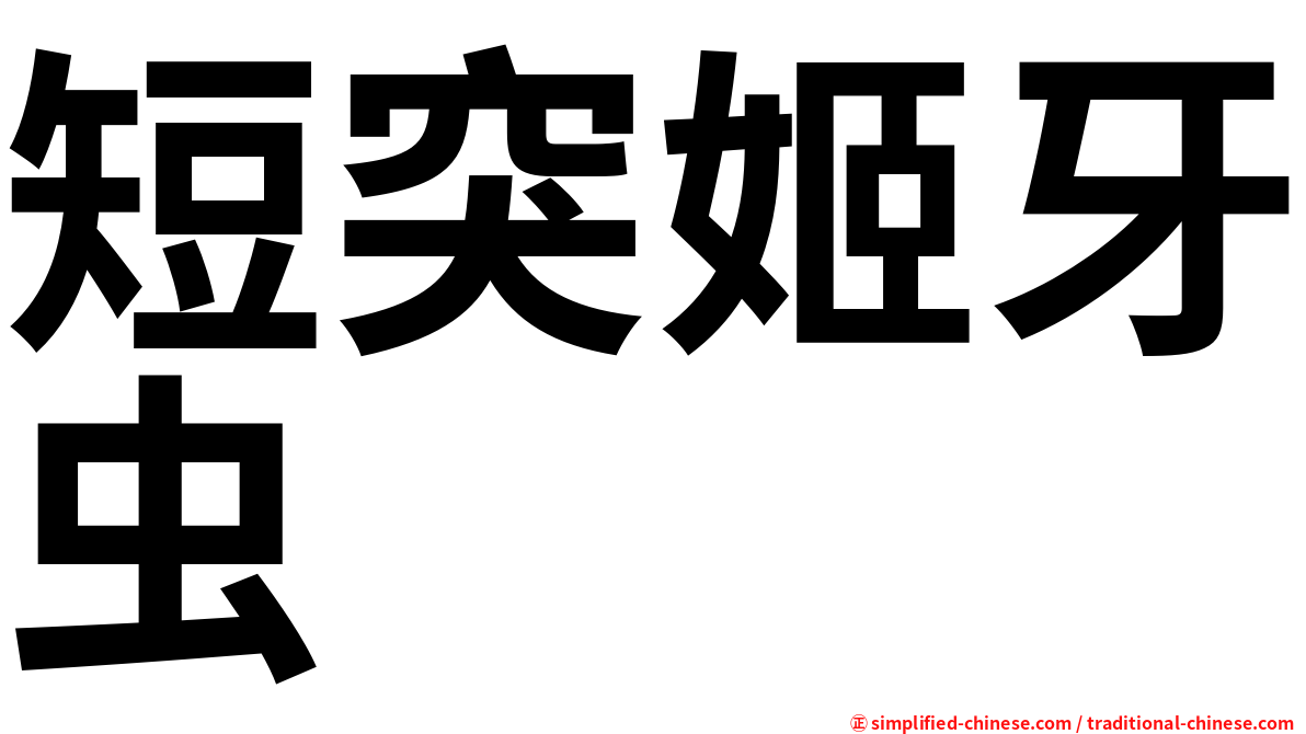 短突姬牙虫