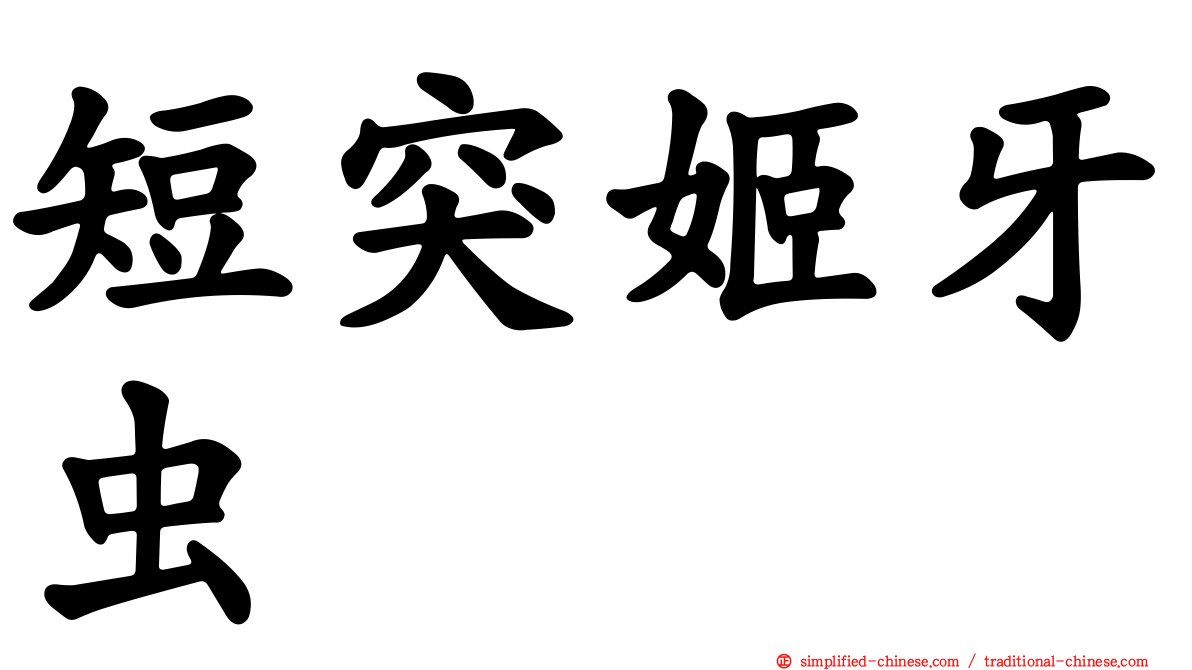 短突姬牙虫