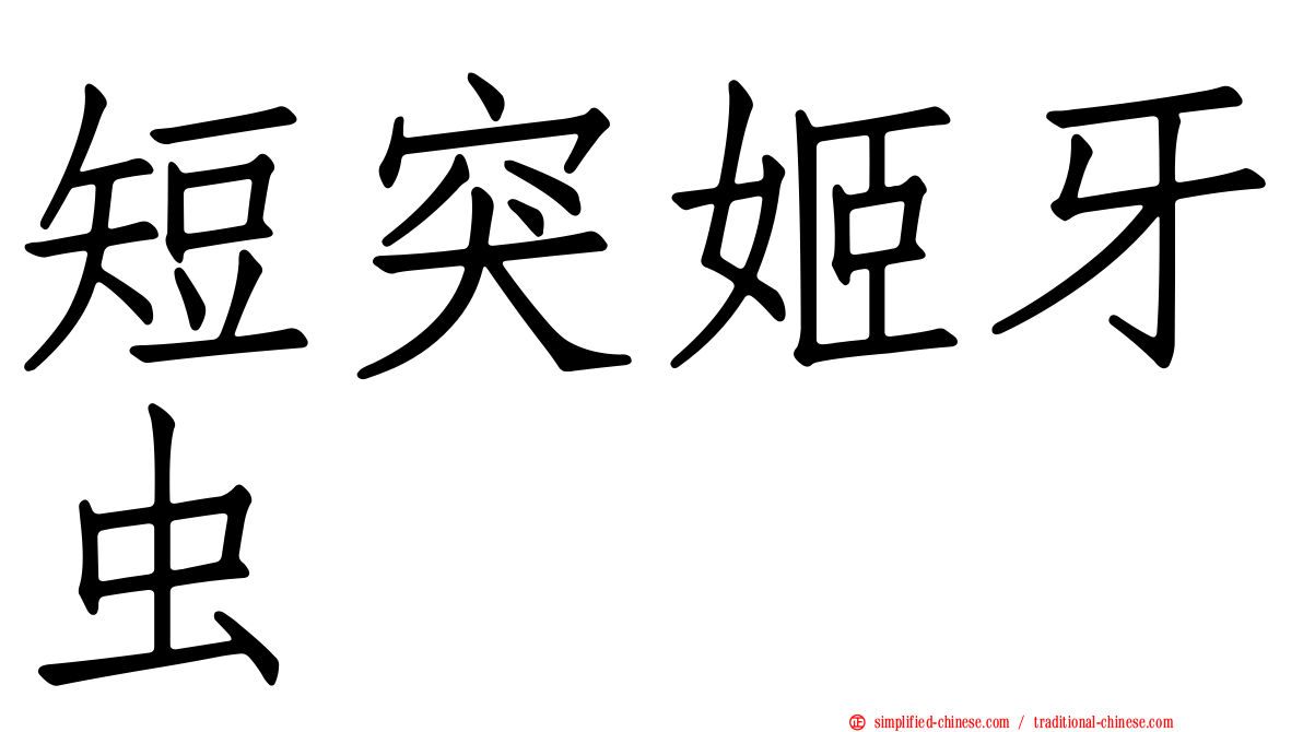 短突姬牙虫