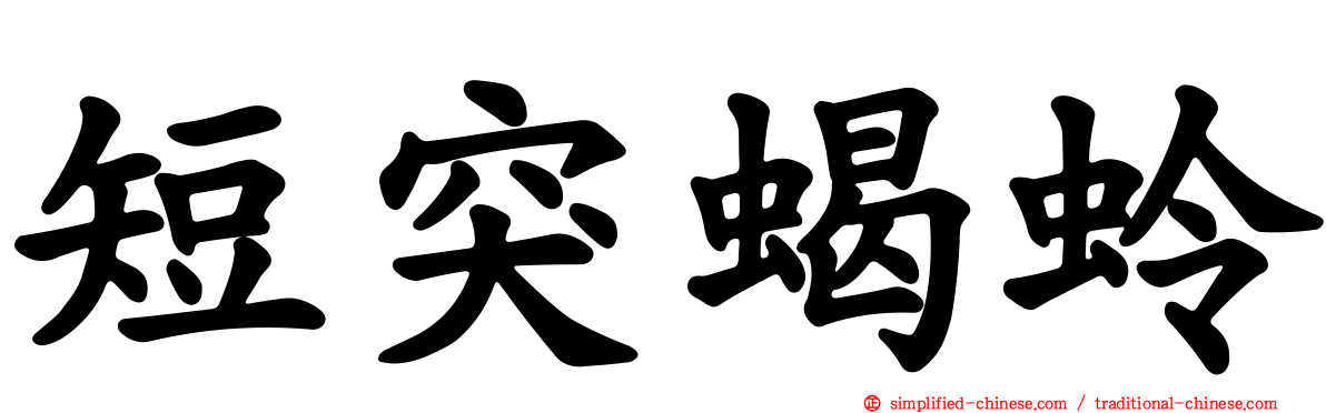 短突蝎蛉