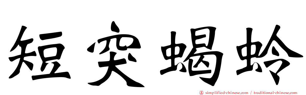 短突蝎蛉