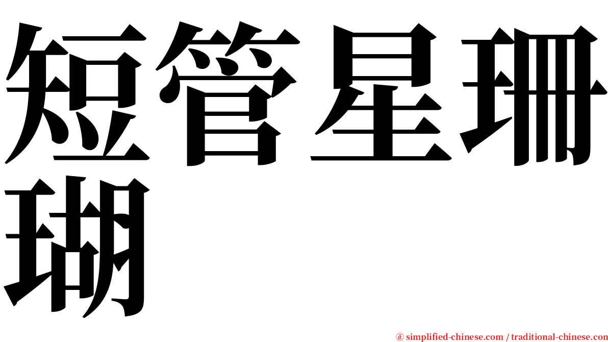 短管星珊瑚 serif font