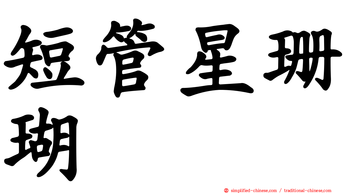 短管星珊瑚