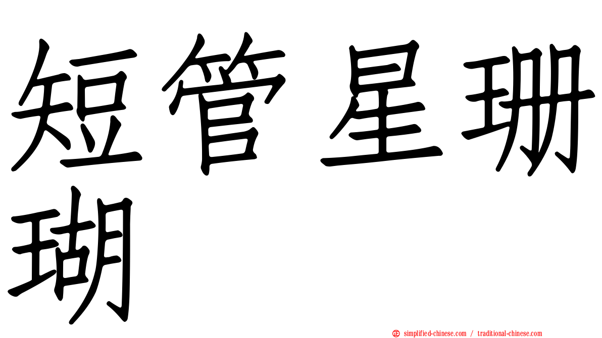 短管星珊瑚