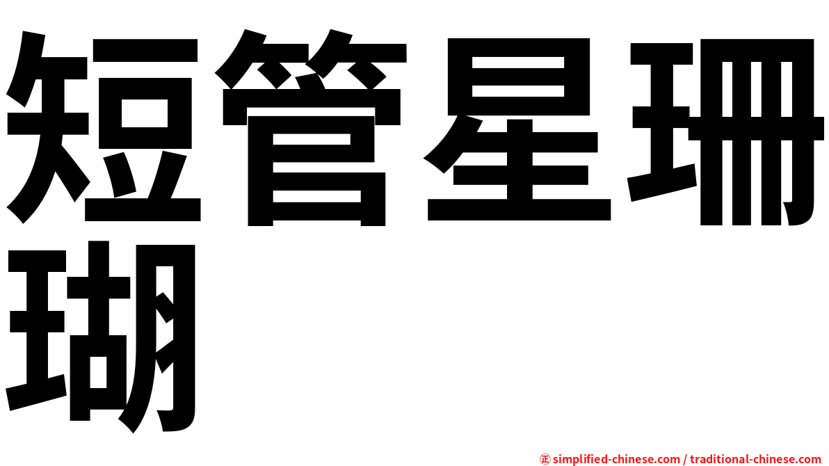 短管星珊瑚