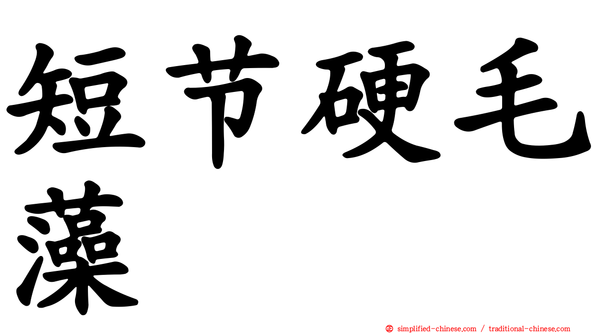 短节硬毛藻