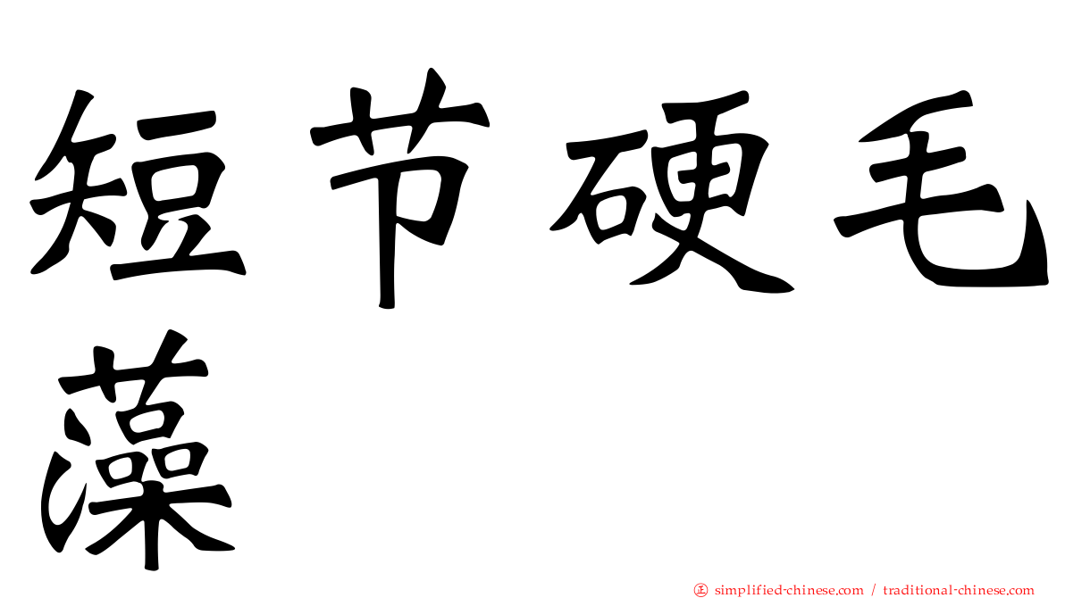 短节硬毛藻