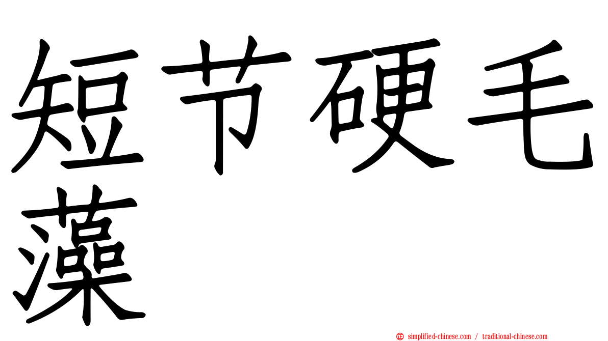 短节硬毛藻