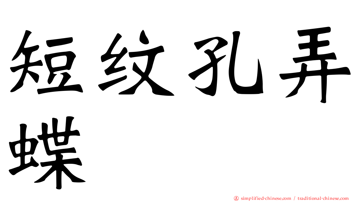 短纹孔弄蝶