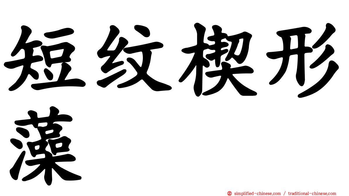 短纹楔形藻