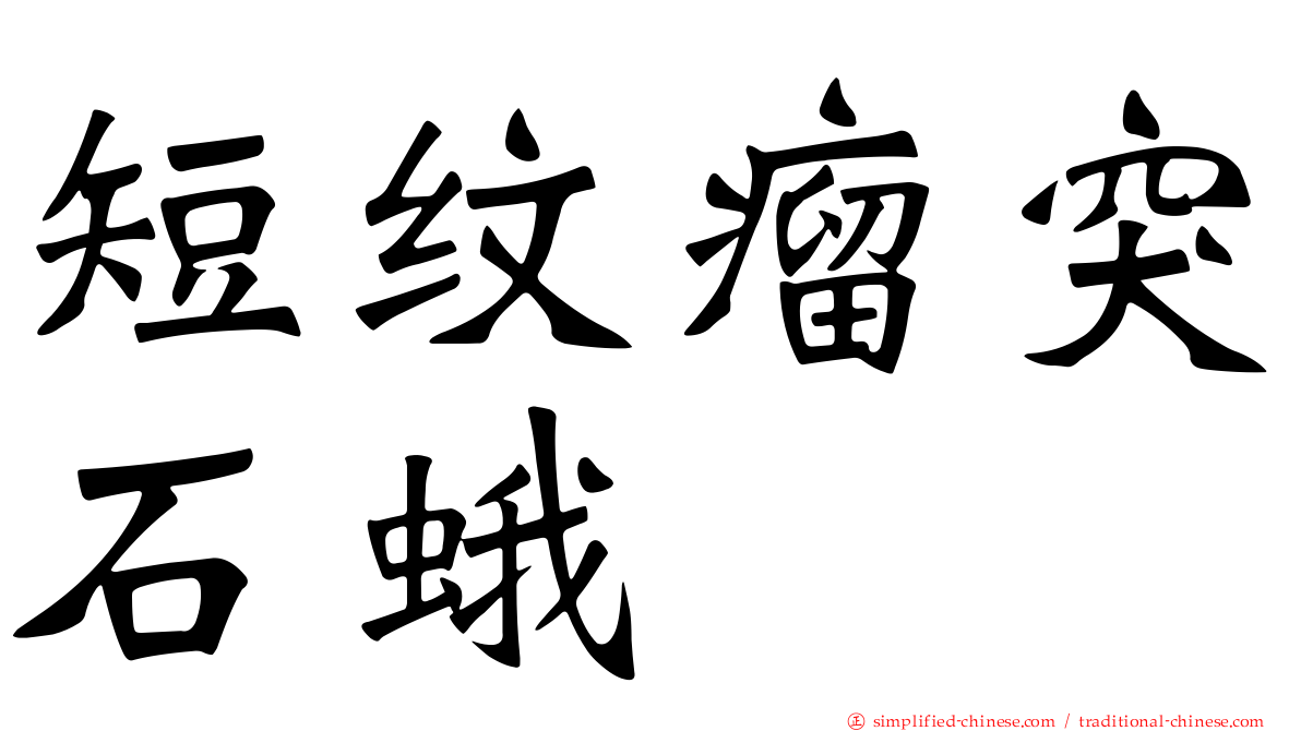 短纹瘤突石蛾