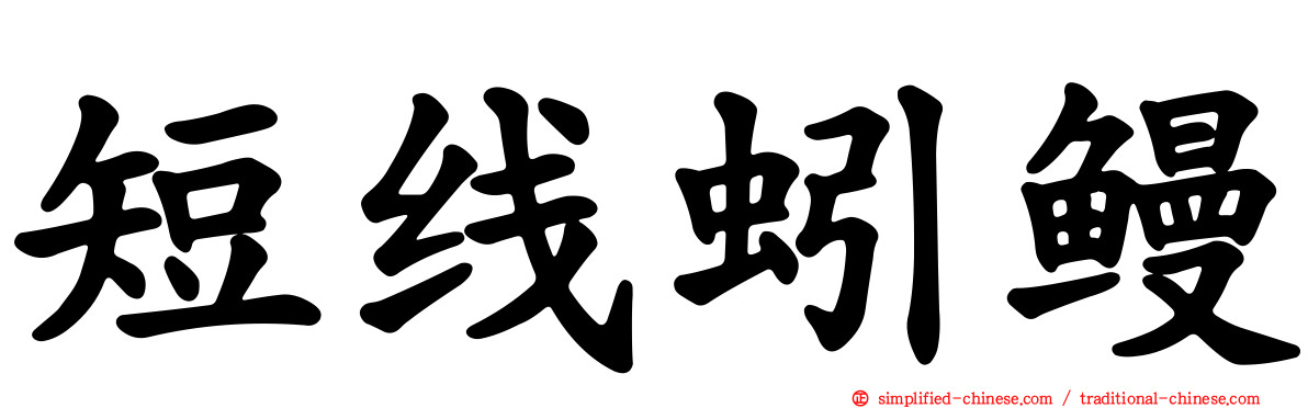 短线蚓鳗