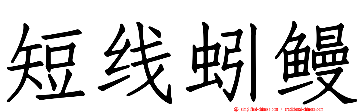 短线蚓鳗