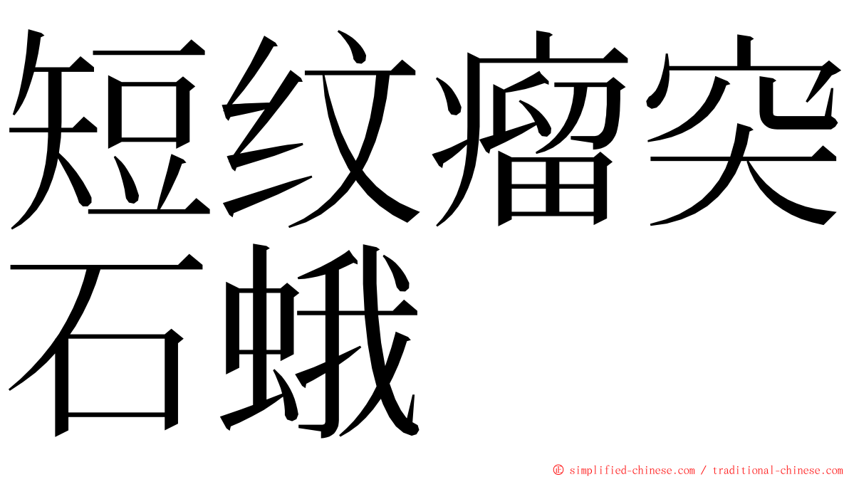 短纹瘤突石蛾 ming font