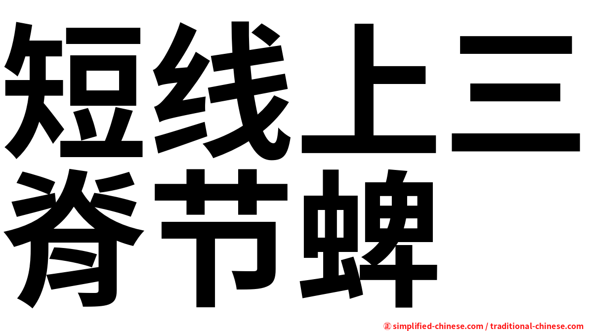 短线上三脊节蜱