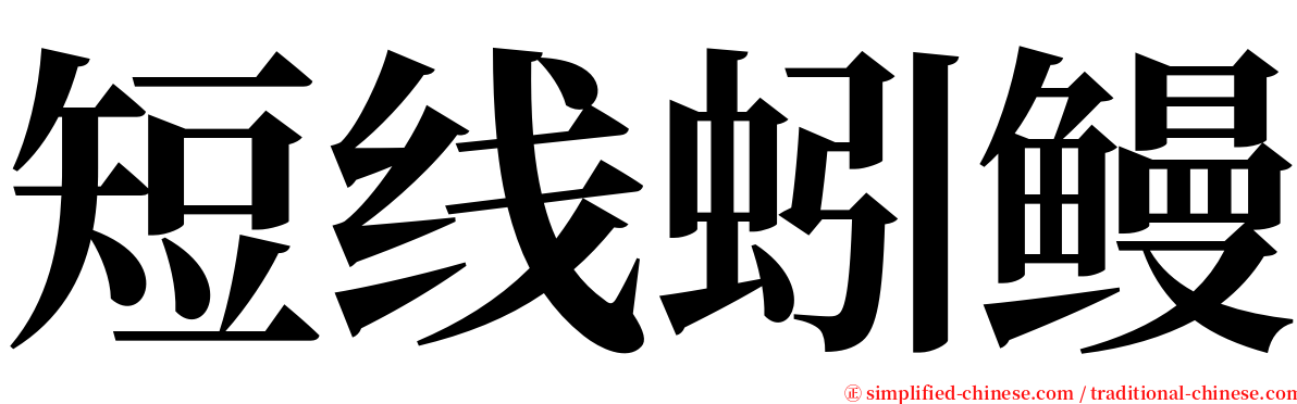 短线蚓鳗 serif font