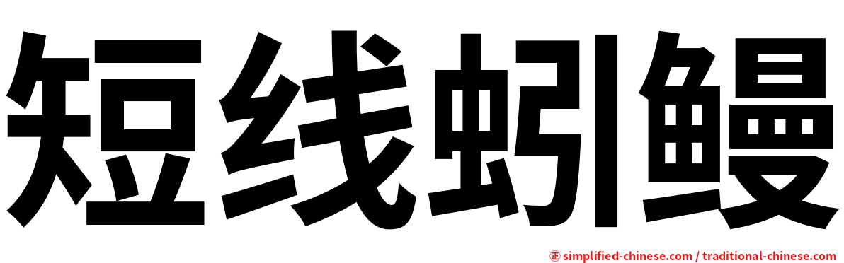 短线蚓鳗