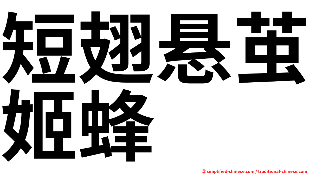 短翅悬茧姬蜂