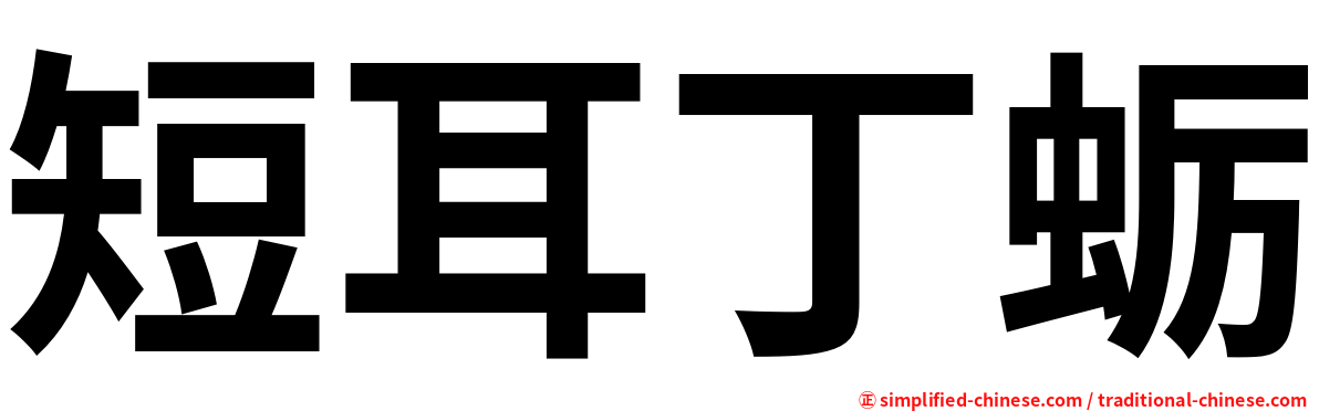 短耳丁蛎