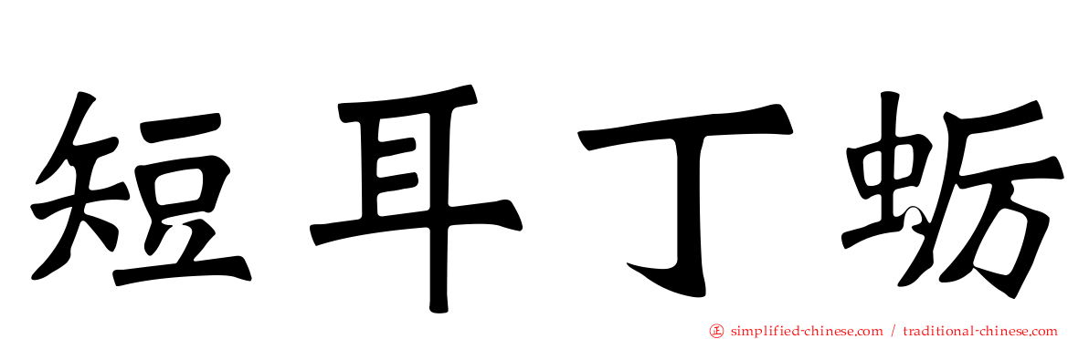 短耳丁蛎