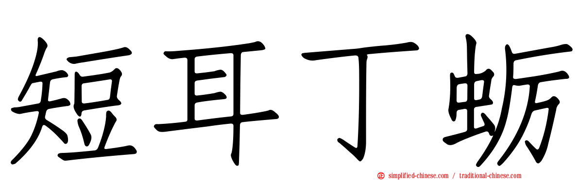 短耳丁蛎