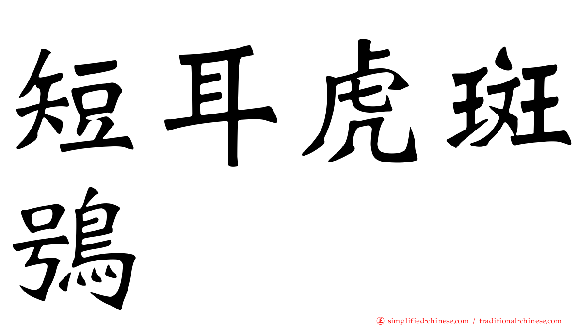 短耳虎斑鸮